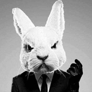 Meet your Posher, Pedro